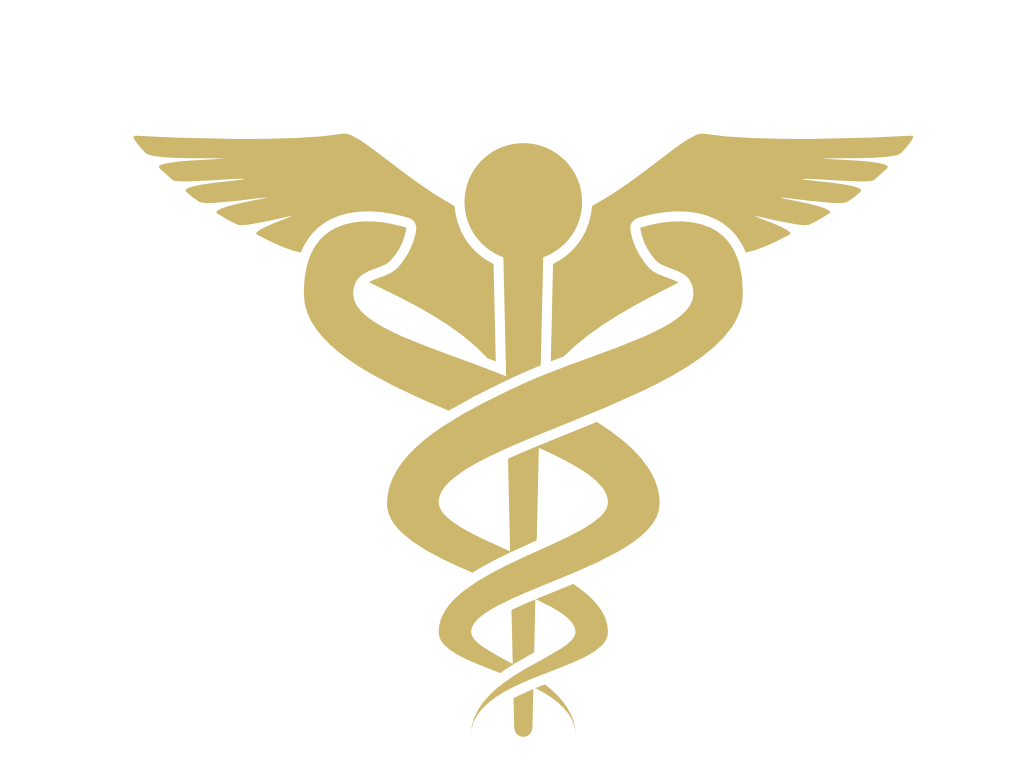 Logo Gnosis Việt Nam