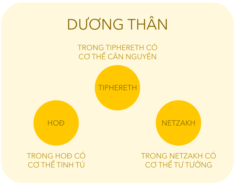 Dương Thân